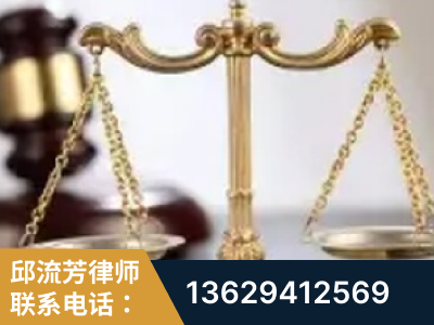 平湖-委托诉讼代理人出庭